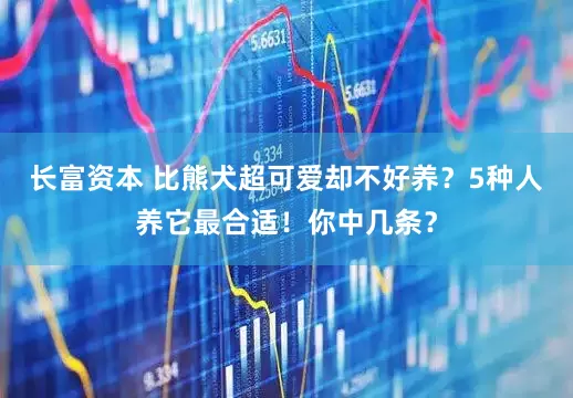 长富资本 比熊犬超可爱却不好养？5种人养它最合适！你中几条？