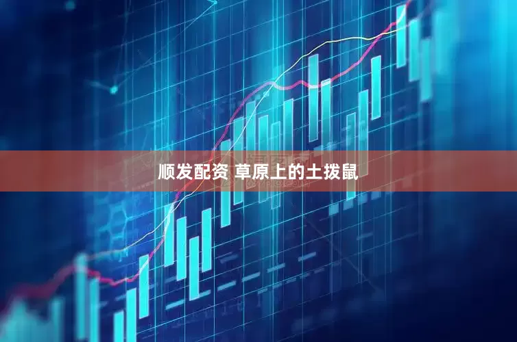 顺发配资 草原上的土拨鼠