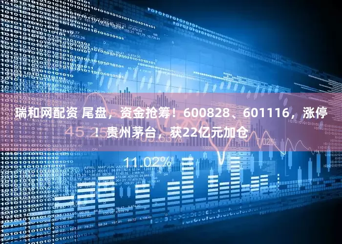 瑞和网配资 尾盘，资金抢筹！600828、601116，涨停！贵州茅台，获22亿元加仓